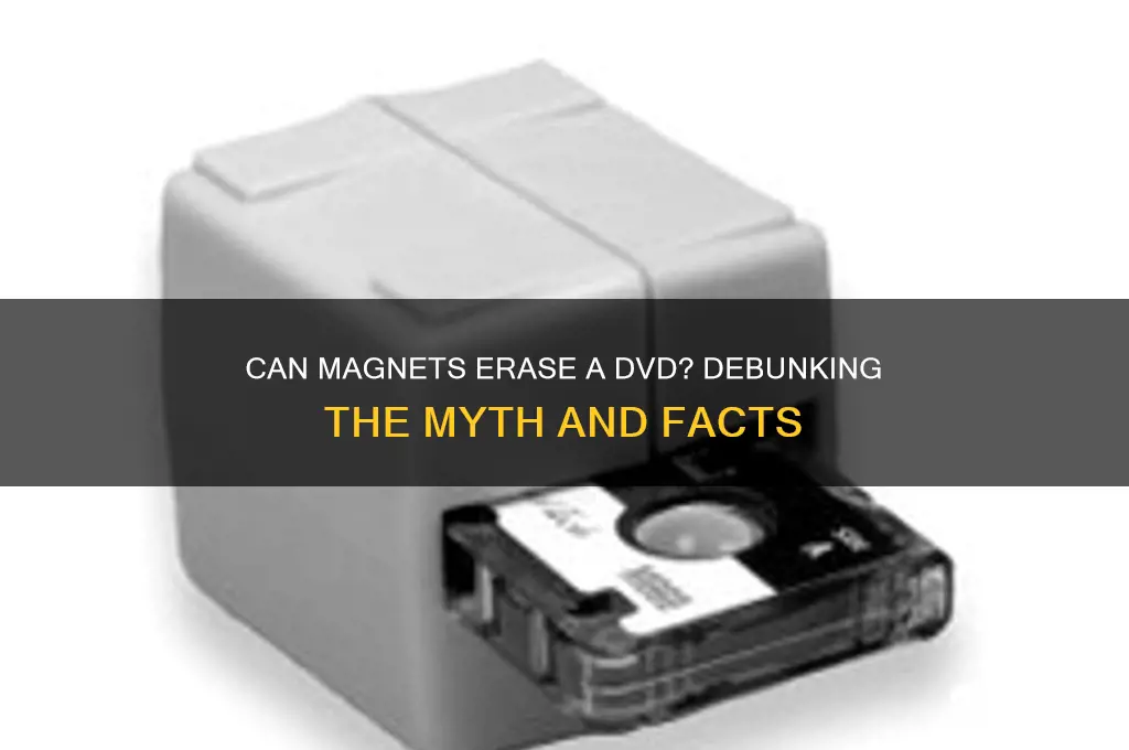 can magnets erase a dvd
