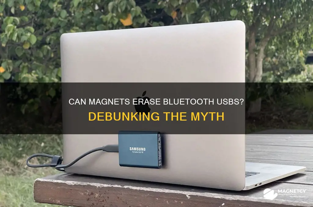 can magnets erase bluetooth usbs