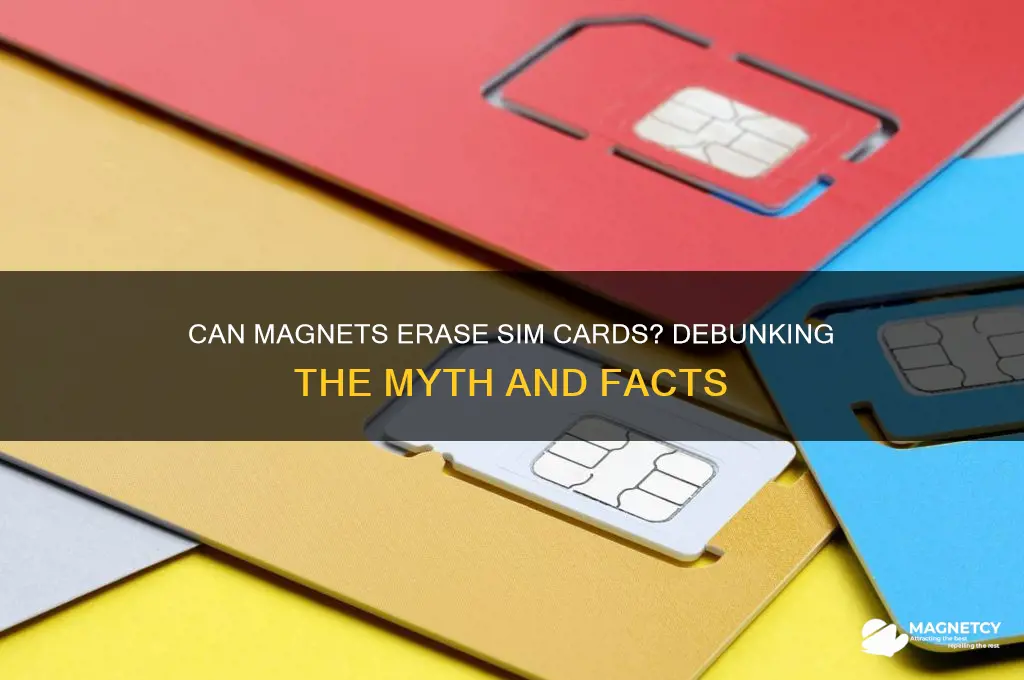 can magnets erase sim card
