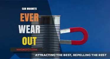 Do Magnets Lose Their Strength Over Time? The Truth Revealed