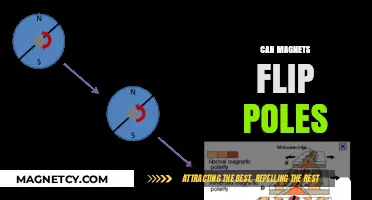Can Magnets Flip Poles? Exploring Earth's Magnetic Reversal Mystery