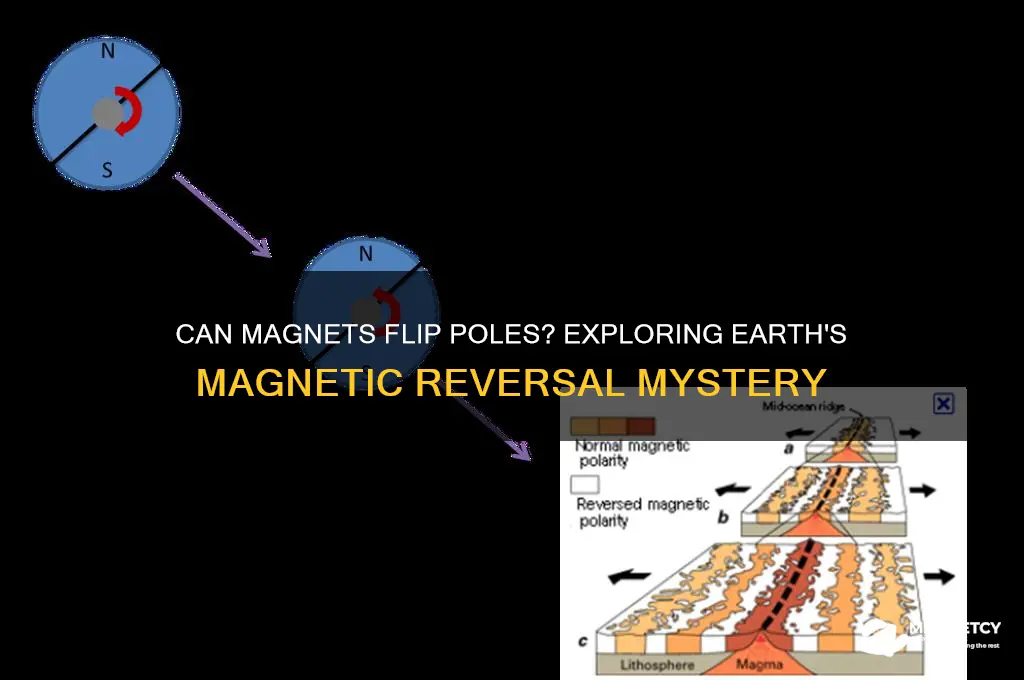 can magnets flip poles