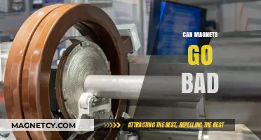 Do Magnets Expire? Understanding Magnet Lifespan and Degradation Factors