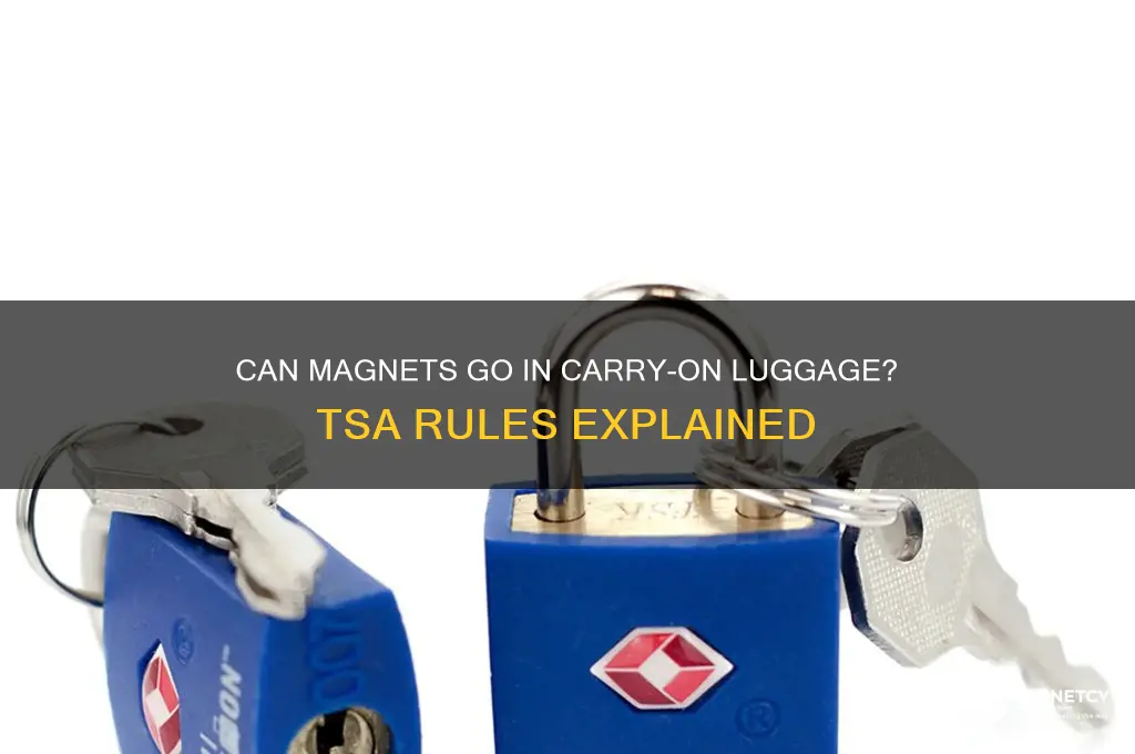can magnets go in carry on