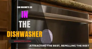 Can Magnets Go in the Dishwasher? Safety Tips and Advice