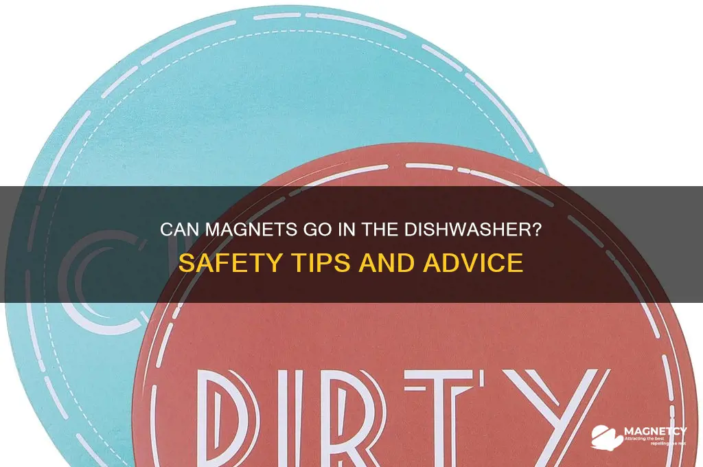 can magnets go in the dishwasher