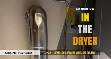 Can Magnets Go in the Dryer? Safety Tips and Risks