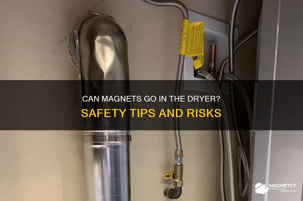 can magnets go in the dryer