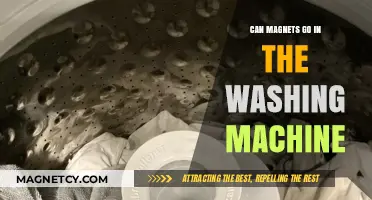 Can Magnets Survive a Wash? Washing Machine Safety Tips