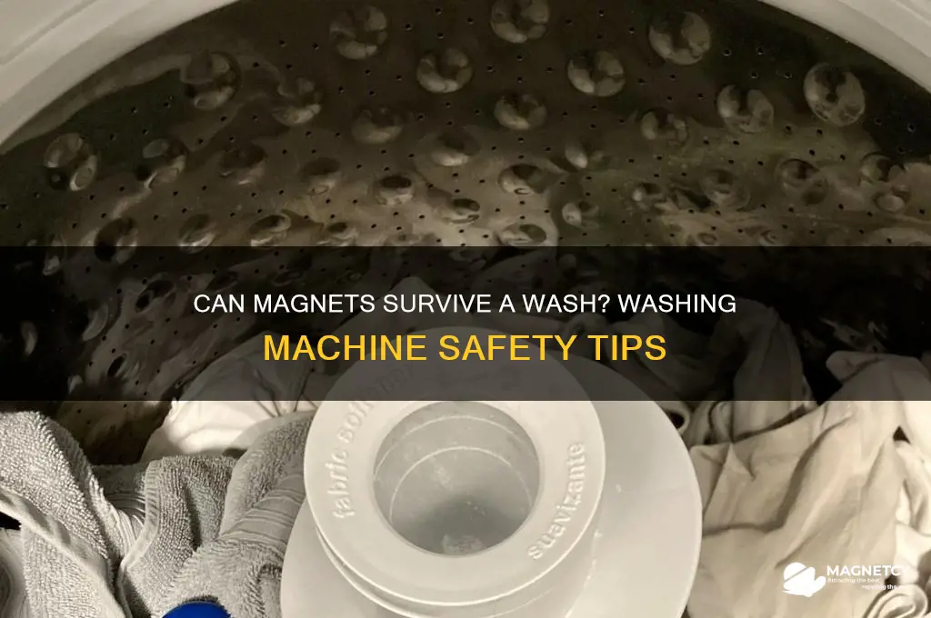 can magnets go in the washing machine