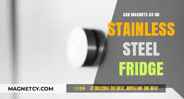 Can Magnets Stick to Stainless Steel Fridges? Here's What to Know