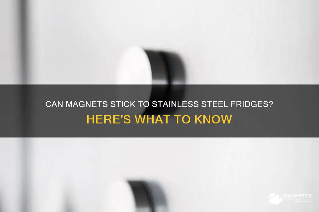 can magnets go on stainless steel fridge
