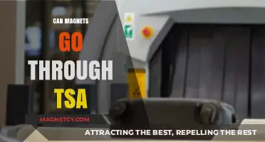 Can Magnets Pass TSA Screening? A Traveler's Guide to Security