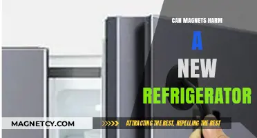 Can Magnets Damage Your New Refrigerator? Facts and Myths Explained