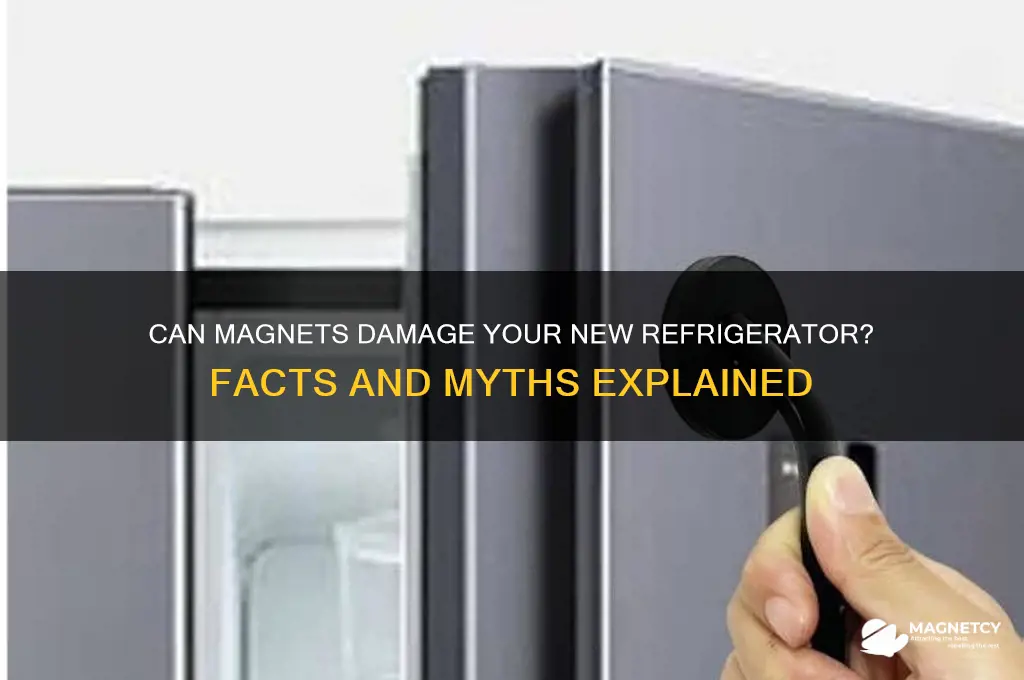 can magnets harm a new refrigerators