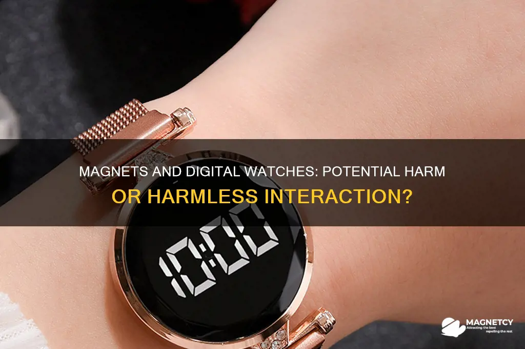 can magnets harm digitcal watches