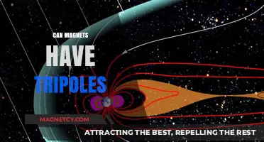 Exploring Magnetic Mysteries: Can Magnets Have Tripoles?