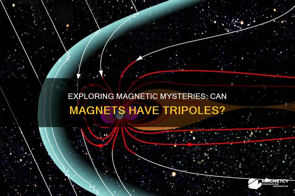 can magnets have tripoles