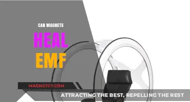 Magnets vs. EMF: Uncovering the Truth About Healing Potential