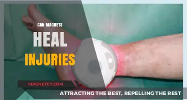 Magnetic Healing: Can Magnets Truly Accelerate Injury Recovery?