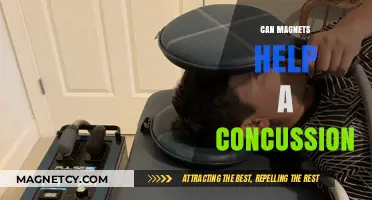 Magnetic Therapy for Concussions: Potential Benefits and Scientific Insights