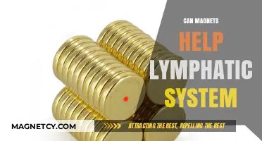 Magnetic Therapy: Unlocking Lymphatic Health Benefits and Potential