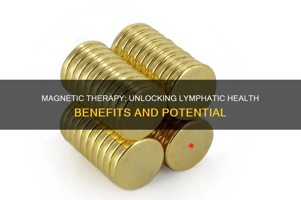 can magnets help lymphatic system