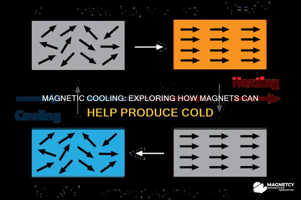 can magnets help producing cold