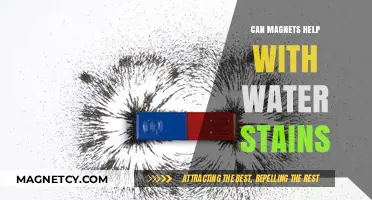 Magnetic Solutions for Water Stains: Fact or Fiction?