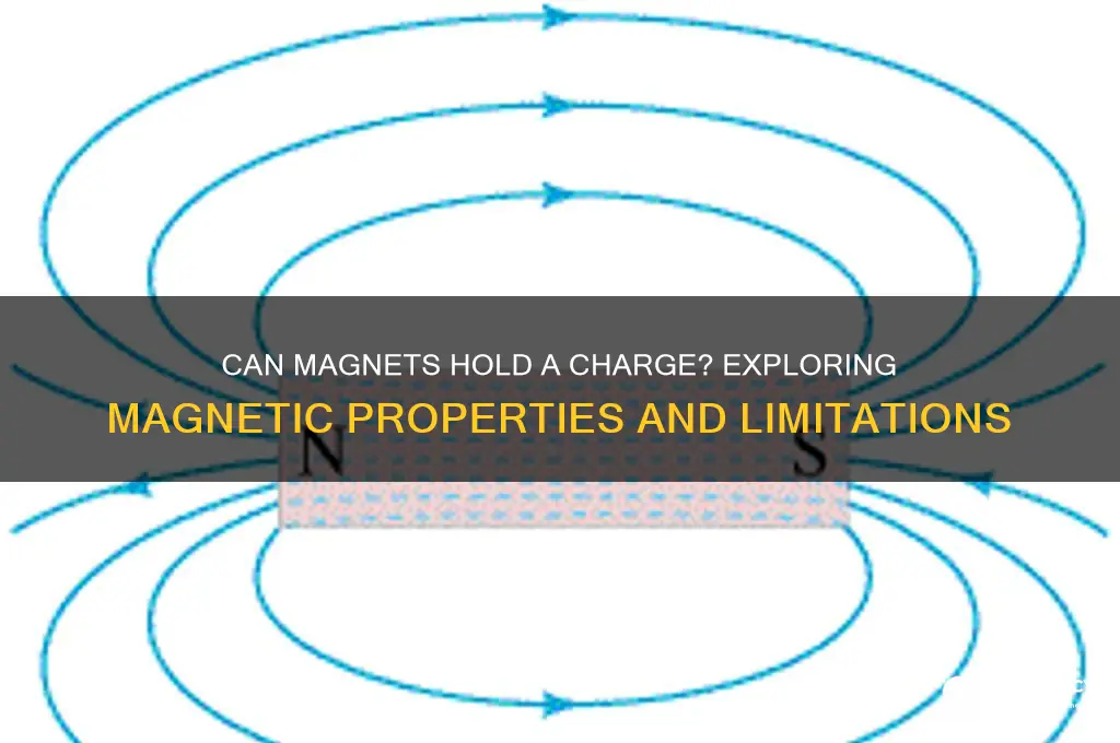 can magnets hold a chage