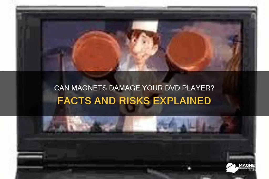 can magnets hurt dvd player