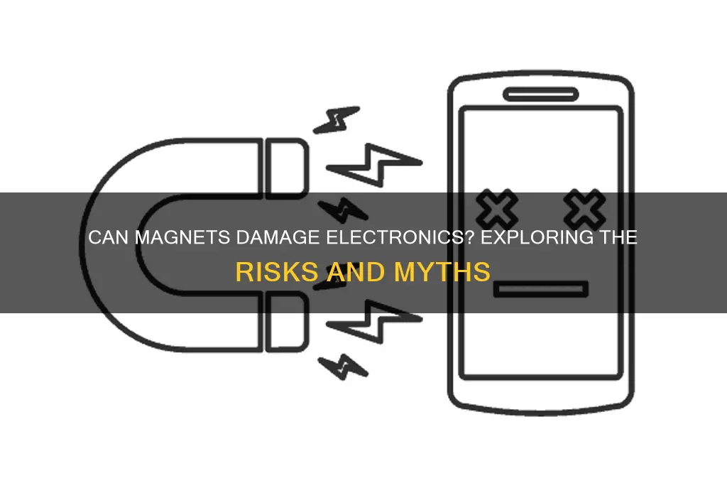 can magnets hurt electronic