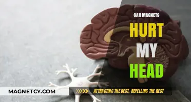 Can Magnets Harm Your Brain? Exploring Myths and Realities