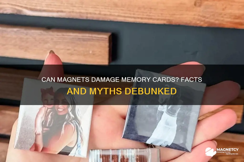 can magnets hurt my memory card