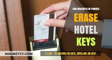 Magnets in Purses: Do They Erase Hotel Key Cards?
