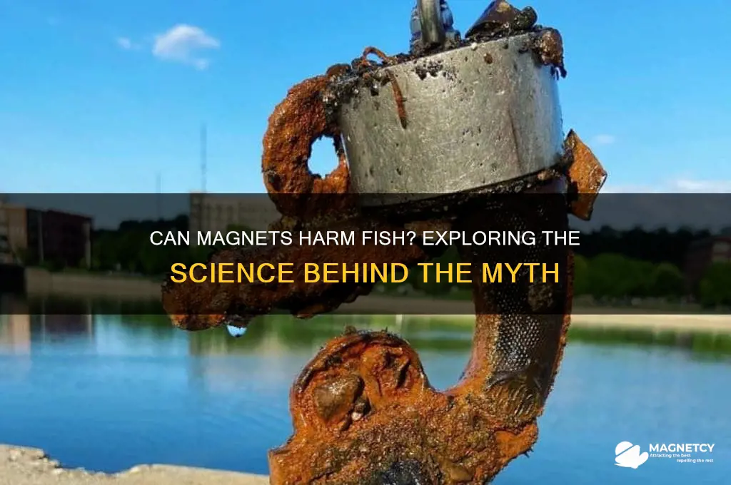 can magnets kill fish