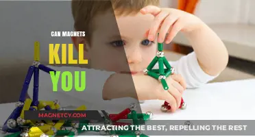 Can Magnets Be Deadly? Unraveling the Myths and Real Dangers