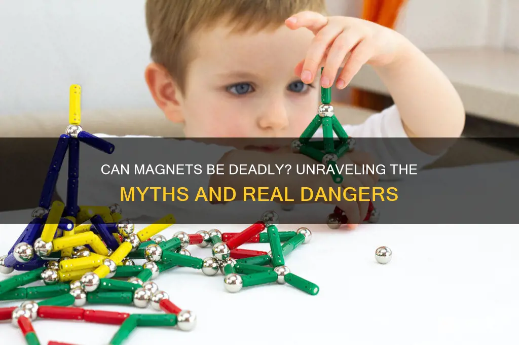 can magnets kill you