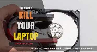 Can Magnets Damage Your Laptop? Debunking Myths and Facts