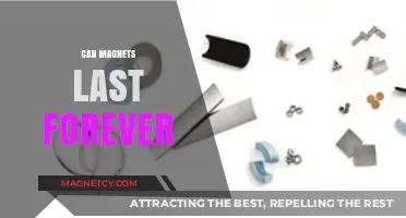 Do Magnets Last Forever? Exploring Their Lifespan and Durability