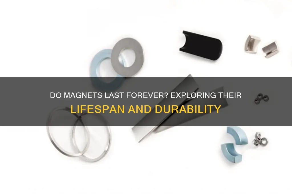 can magnets last forever