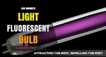 Magnetic Power: Can Magnets Light Up Fluorescent Bulbs?