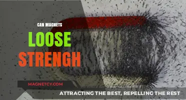 Do Magnets Weaken Over Time? Exploring Magnetic Strength Loss