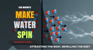 Magnetic Magic: Can Magnets Really Make Water Spin?