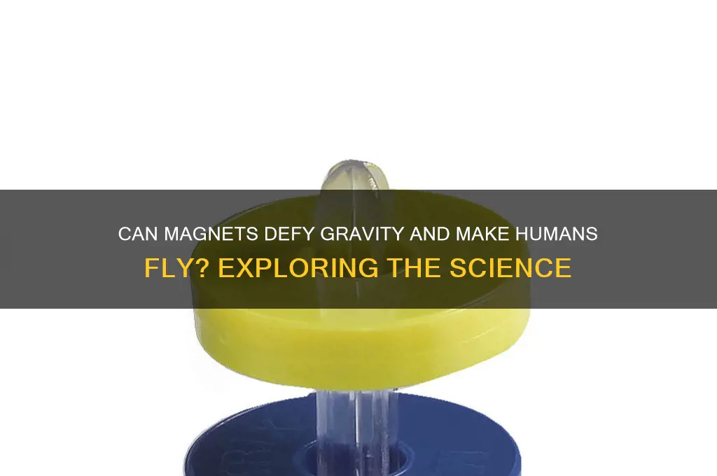 can magnets make you fly