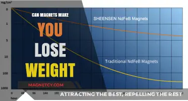 Exploring the Myth: Can Magnets Really Aid in Weight Loss?