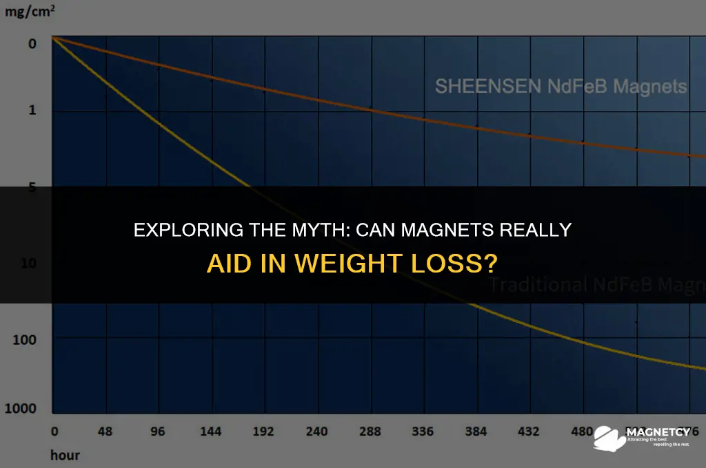 can magnets make you lose weight
