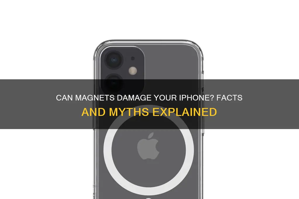 can magnets mess up your iphone