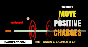 Magnets and Positive Charges: Unraveling the Movement Mystery