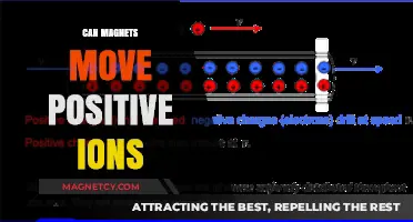 Magnetic Influence: Can Magnets Move Positive Ions Effectively?